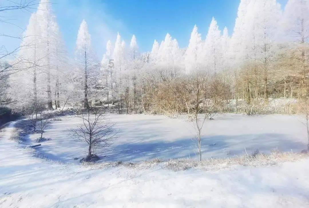 沈梦辰凌晨下班后在车内独自哭泣，妈妈担心她有可能患上抑郁症，怎么回事？